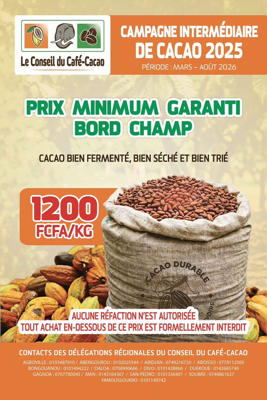 Cacao : le prix minimum garanti fixé à 1 200 FCFA/KG pour la campagne intermédiaire 2025
